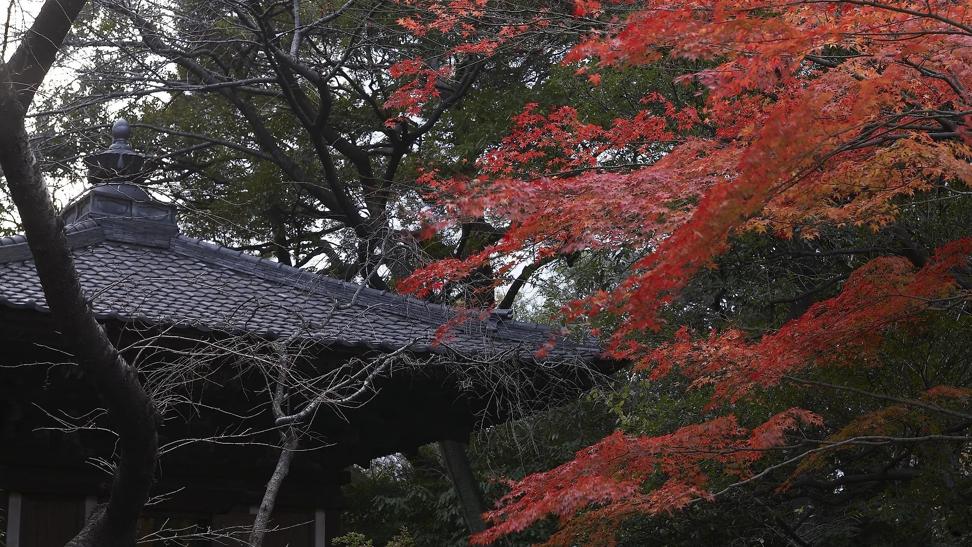 Grand Prince Hotel Takanawa Tōkyō